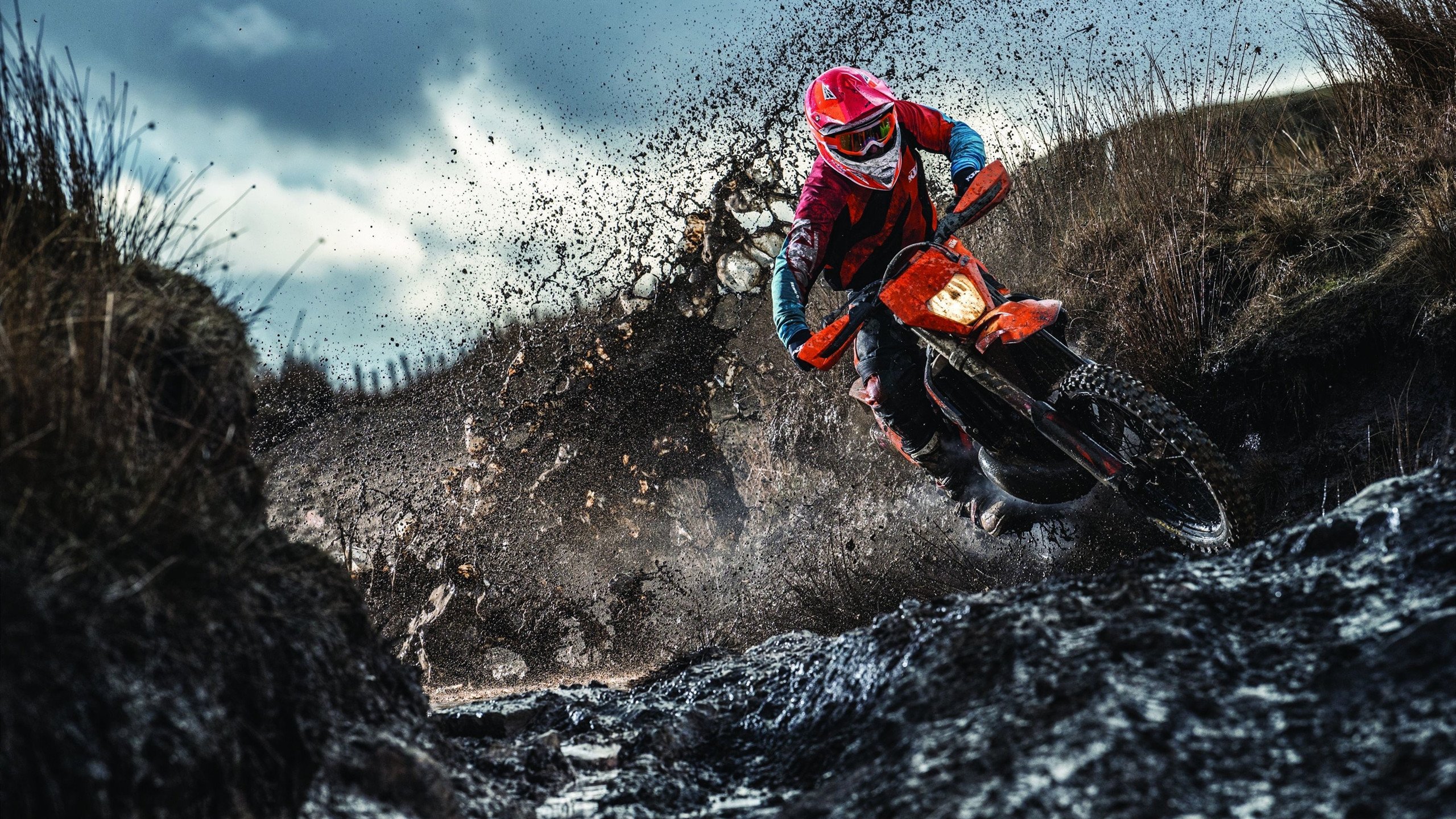 小贾伦爆发撕裂防线，开拓者铁血防守锁死森林狼