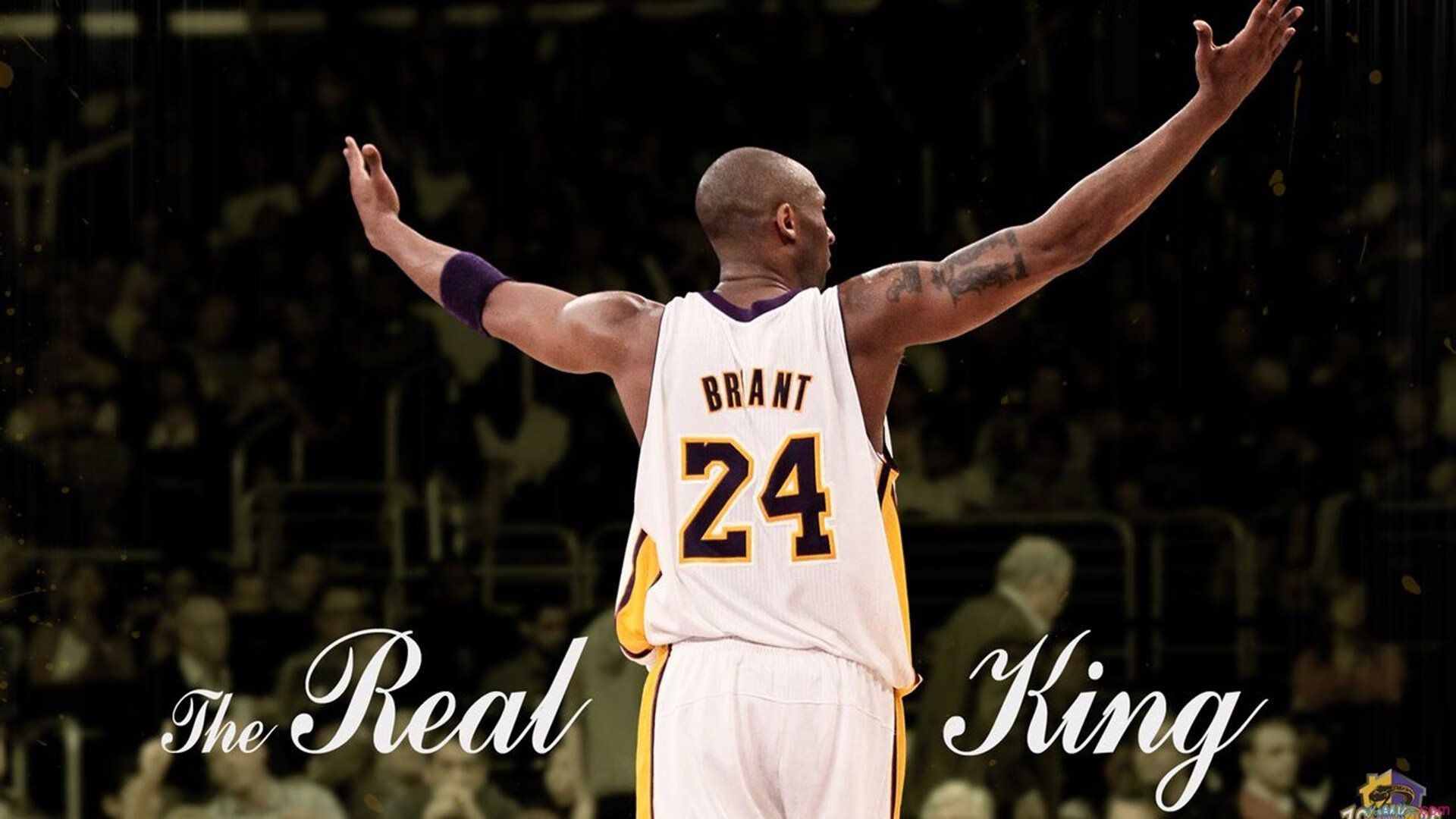 逆转与点燃，格列兹曼如何带领日本队战胜美国